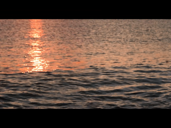 Image du projet Trailer d'Osmo Create